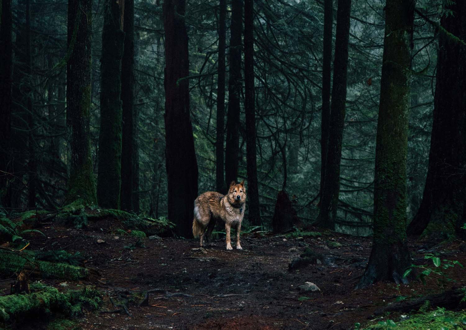 Unsere Mission Banner